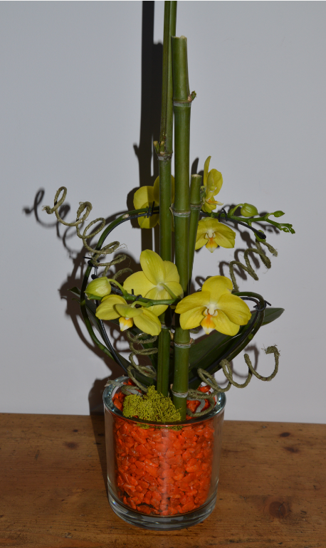 orchidée