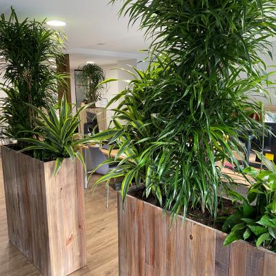 bac en bois