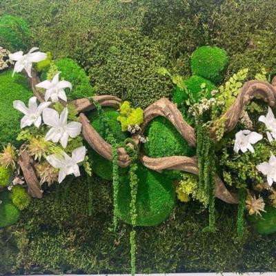 tableau en mousse stabilisée avec orchidée et liane
