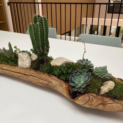 coupe en bois