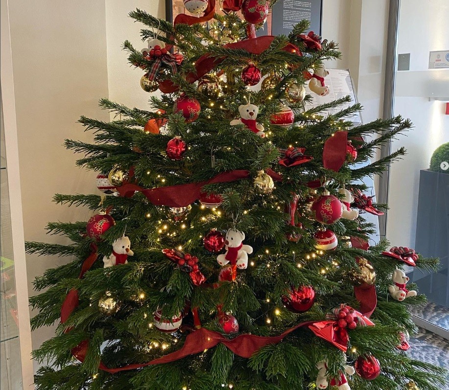 sapin couleur rouge et or