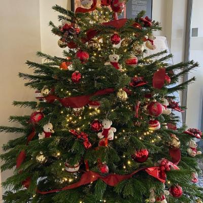 sapin couleur rouge et or