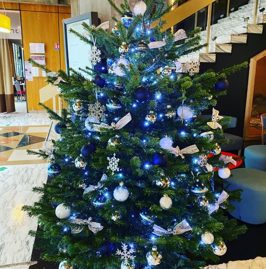 sapin couleur bleu et argent