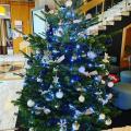 sapin couleur bleu et argent