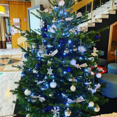 sapin couleur bleu et argent