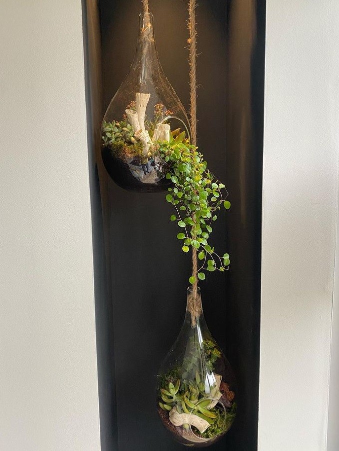 suspension et plantes naturelles