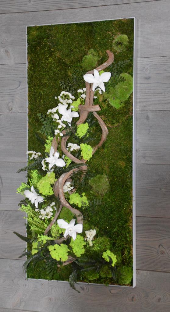 tableau mousse stabilisée, orchidée et liane