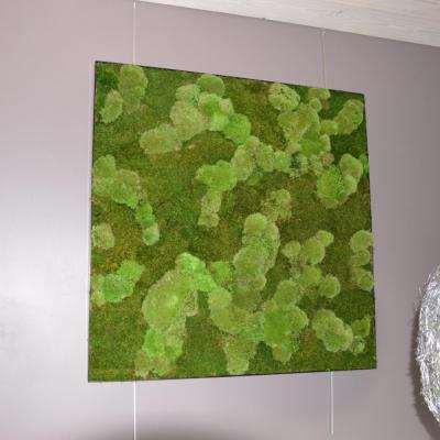 tableau végétal sans entretien