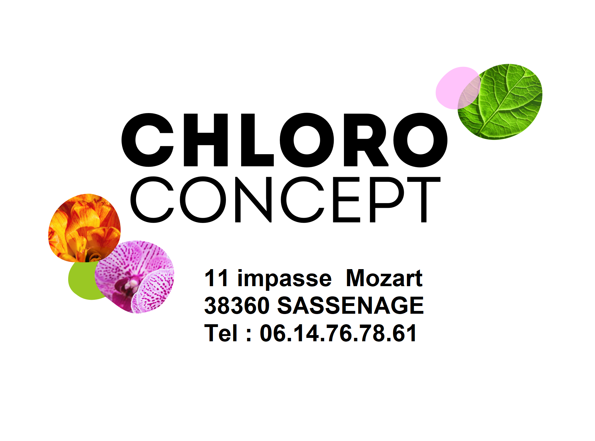 CHLORO-concept