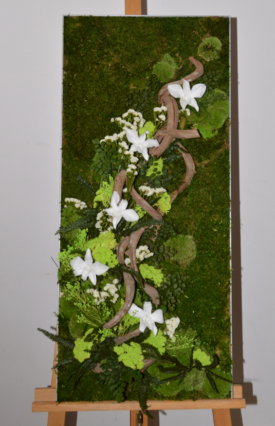 tableau orchidées blanches