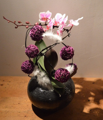Orchidees2